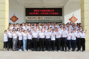 總結過去，計劃未來，協(xié)同創(chuàng)新，再創(chuàng)佳績！洛陽正大舉行2023年上半年工作總結會議